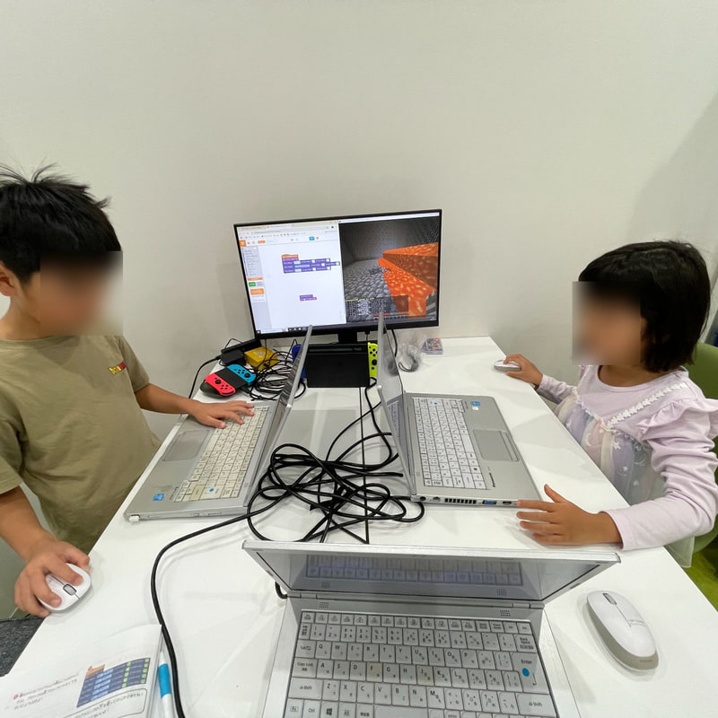 本棚に並んだ多様な本。選択肢の広がりを示す象徴