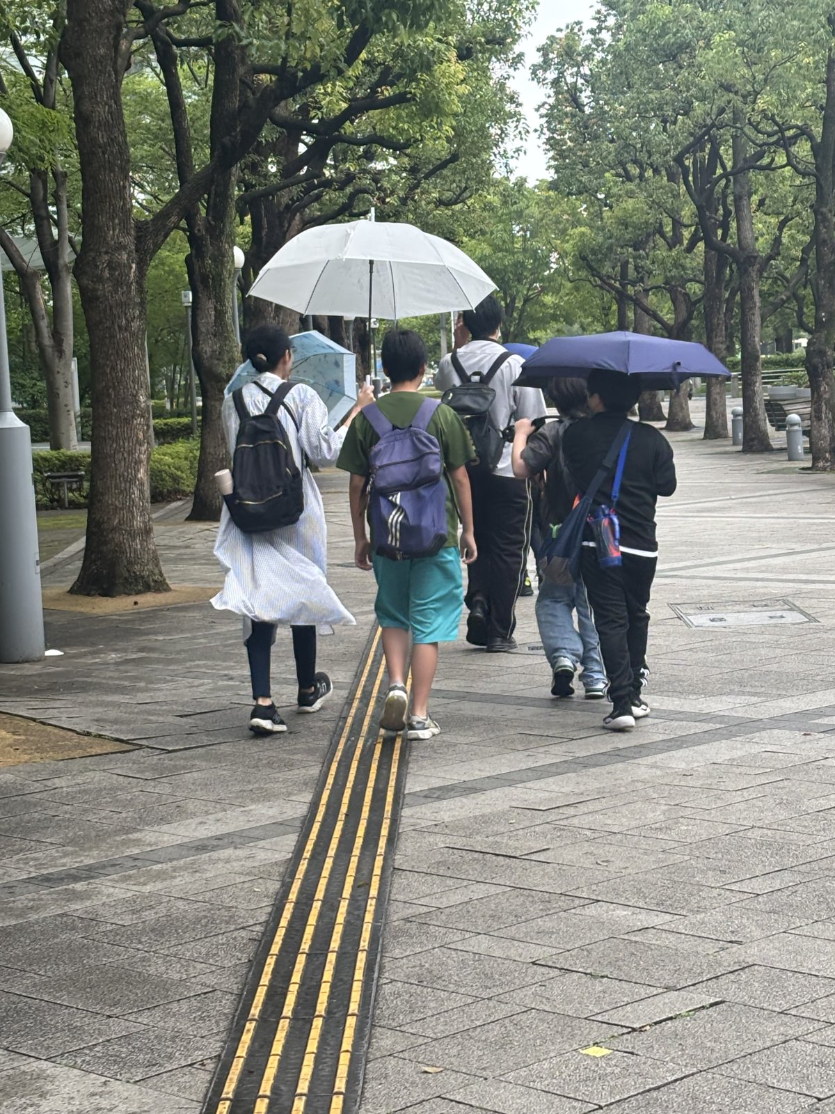 窓際の明るい席で、女の子がタブレットや教材を使って自分のペースで学習している様子。スタッフが少し離れたところで見守っている構図。